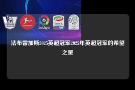 法布雷加斯2025英超冠军2025年英超冠军的希望之星