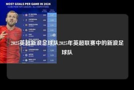2025英超新浪足球队2025年英超联赛中的新浪足球队