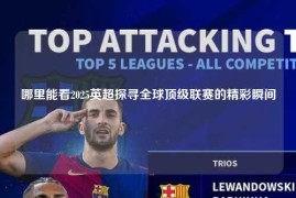 哪里能看2025英超探寻全球顶级联赛的精彩瞬间
