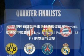2025法甲所有球队未来足球的辉煌篇章——2025年法国甲级联赛（Ligue de Football Professionnel - LFP）的发展与展望