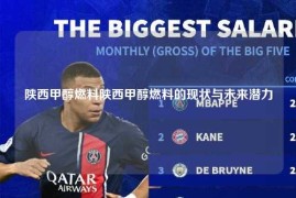陕西甲醇燃料陕西甲醇燃料的现状与未来潜力