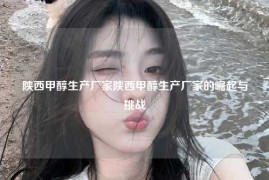 陕西甲醇生产厂家陕西甲醇生产厂家的崛起与挑战