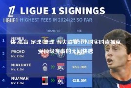 快-体育-足球-篮球-五大联赛24小时实时直播享受顶级赛事的无间快感