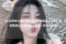 2025法甲积分超过英超法国甲级联赛（法甲）超越英格兰超级联赛（英超）的未来展望