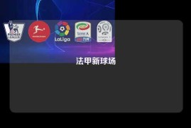 法甲新球场