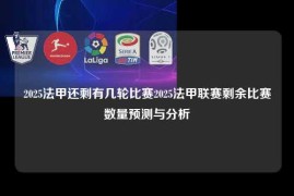 2025法甲还剩有几轮比赛2025法甲联赛剩余比赛数量预测与分析