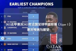 2025法甲赛况2025年法国足球甲级联赛（Ligue 1）赛况预测与展望