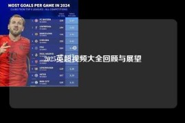 2025英超视频大全回顾与展望