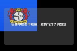 巴西甲巴西甲联赛，激情与竞争的盛宴