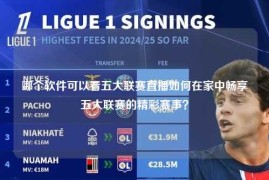 哪个软件可以看五大联赛直播如何在家中畅享五大联赛的精彩赛事？
