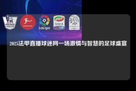 2025法甲直播球迷网一场激情与智慧的足球盛宴
