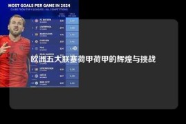 欧洲五大联赛荷甲荷甲的辉煌与挑战
