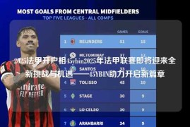 2025法甲开户相45ybin2025年法甲联赛即将迎来全新挑战与机遇——45YBIN助力开启新篇章
