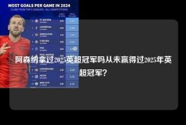 阿森纳拿过2025英超冠军吗从未赢得过2025年英超冠军？