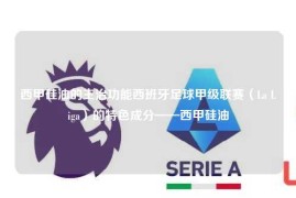 西甲硅油的主治功能西班牙足球甲级联赛（La Liga）的特色成分——西甲硅油