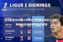 五大联赛买球的人多吗五大联赛买球的人多吗？揭秘全球足球迷的热烈程度