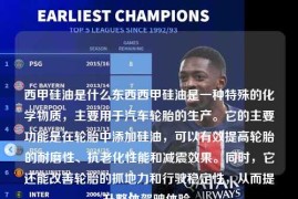 西甲硅油是什么东西西甲硅油是一种特殊的化学物质，主要用于汽车轮胎的生产。它的主要功能是在轮胎中添加硅油，可以有效提高轮胎的耐磨性、抗老化性能和减震效果。同时，它还能改善轮胎的抓地力和行驶稳定性，从而提升整体驾驶体验。