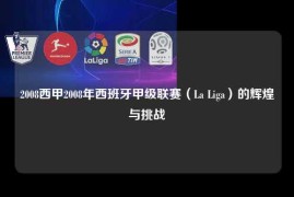 2008西甲2008年西班牙甲级联赛（La Liga）的辉煌与挑战