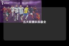 五大联赛队标最全