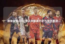 哪里能看2025法甲法甲联赛历史与现状概述