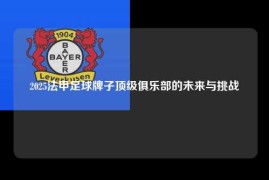 2025法甲足球牌子顶级俱乐部的未来与挑战