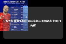 五大联赛俱乐部五大联赛俱乐部概述与影响力分析