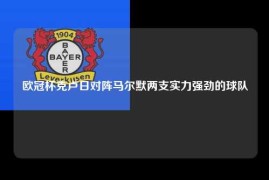 欧冠杯克卢日对阵马尔默两支实力强劲的球队