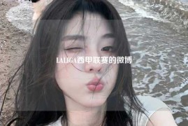 LALIGA西甲联赛的微博