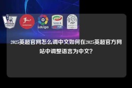 2025英超官网怎么调中文如何在2025英超官方网站中调整语言为中文？