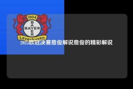 2025欧冠决赛詹俊解说詹俊的精彩解说