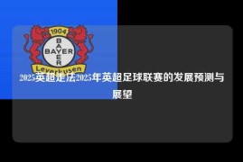 2025英超走法2025年英超足球联赛的发展预测与展望
