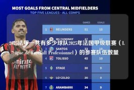 2025法甲一共有多少球队2025年法国甲级联赛（Ligue de Football Professionnel）的参赛队伍数量