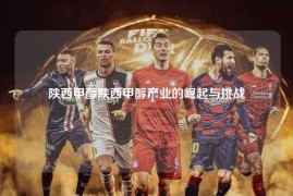 陕西甲醇陕西甲醇产业的崛起与挑战