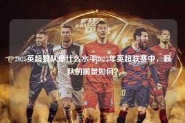 2025英超狼队是什么水平2025年英超联赛中，狼队的前景如何？