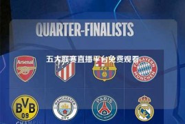 五大联赛直播平台免费观看