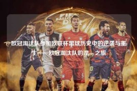 欧冠淘汰队参加欧联杯足球历史中的逆袭与重生——欧冠淘汰队的涅槃之旅