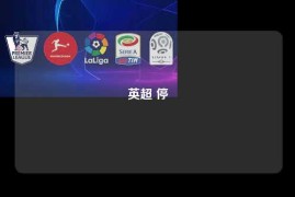 英超 停