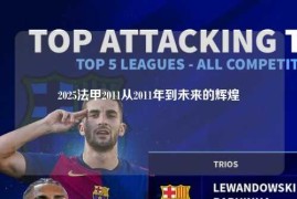 2025法甲2011从2011年到未来的辉煌