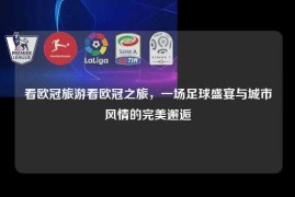 看欧冠旅游看欧冠之旅，一场足球盛宴与城市风情的完美邂逅