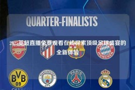 2025英超直播免费观看在线探索顶级足球盛宴的全新体验