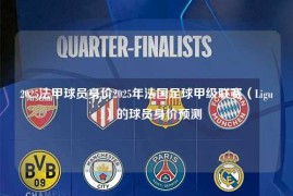 2025法甲球员身价2025年法国足球甲级联赛（Ligue 1）的球员身价预测