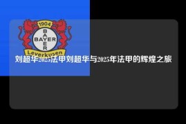 刘超华2025法甲刘超华与2025年法甲的辉煌之旅