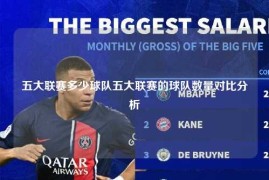五大联赛多少球队五大联赛的球队数量对比分析