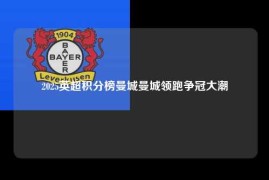 2025英超积分榜曼城曼城领跑争冠大潮