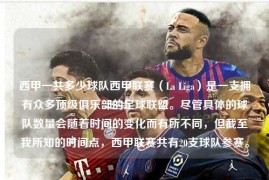 西甲一共多少球队西甲联赛（La Liga）是一支拥有众多顶级俱乐部的足球联盟。尽管具体的球队数量会随着时间的变化而有所不同，但截至我所知的时间点，西甲联赛共有20支球队参赛。
