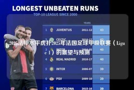 2025法甲水平虎扑2025年法国足球甲级联赛（Ligue 1）的展望与预测