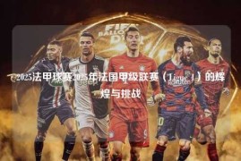 2025法甲球赛2025年法国甲级联赛（Ligue 1）的辉煌与挑战