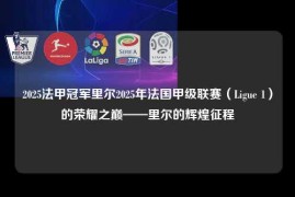 2025法甲冠军里尔2025年法国甲级联赛（Ligue 1）的荣耀之巅——里尔的辉煌征程