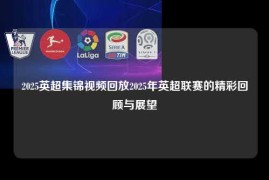 2025英超集锦视频回放2025年英超联赛的精彩回顾与展望
