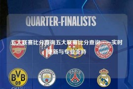 五大联赛比分查询五大联赛比分查询——实时更新与专业支持